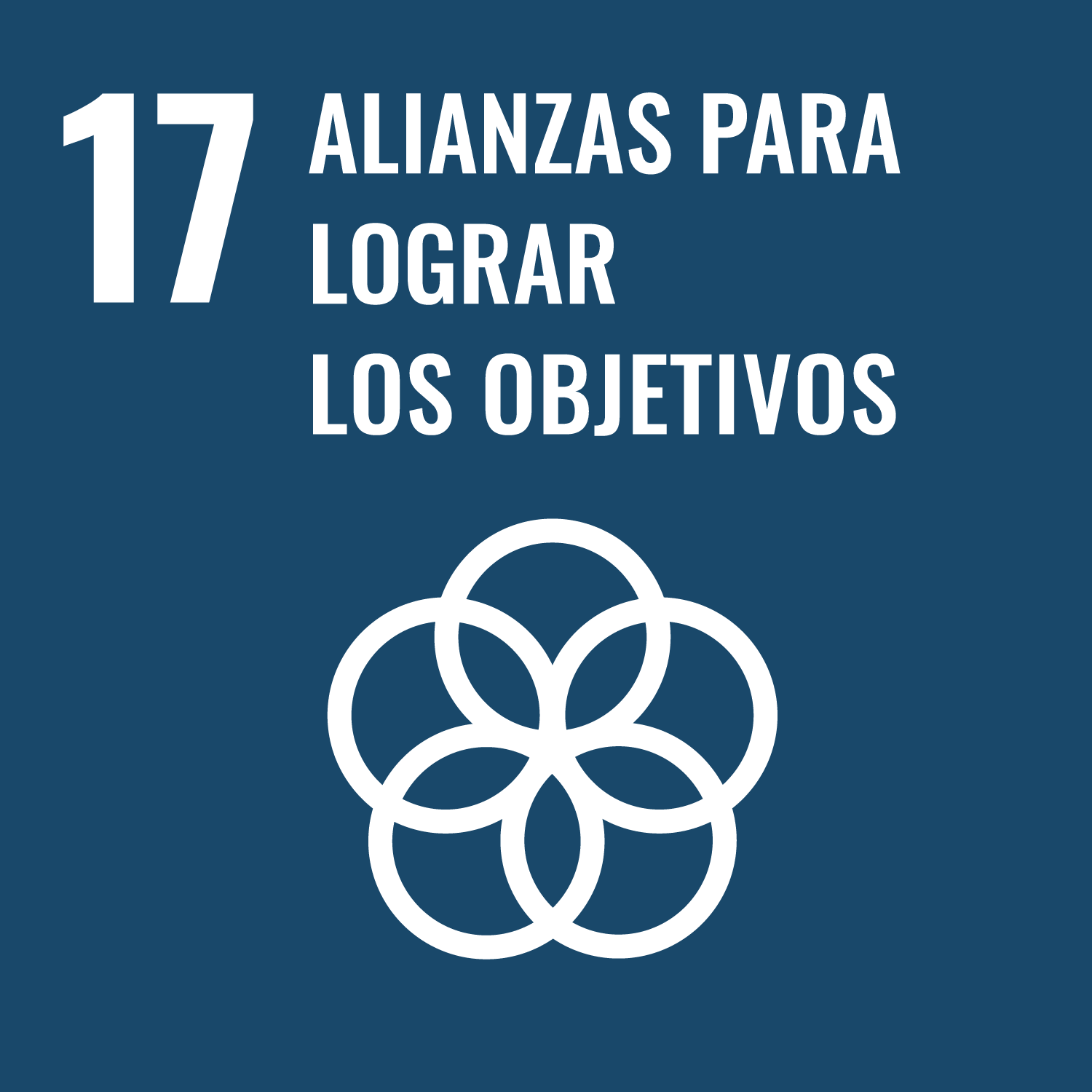 ODS número 17. Alianzas para lograr los objetivos.