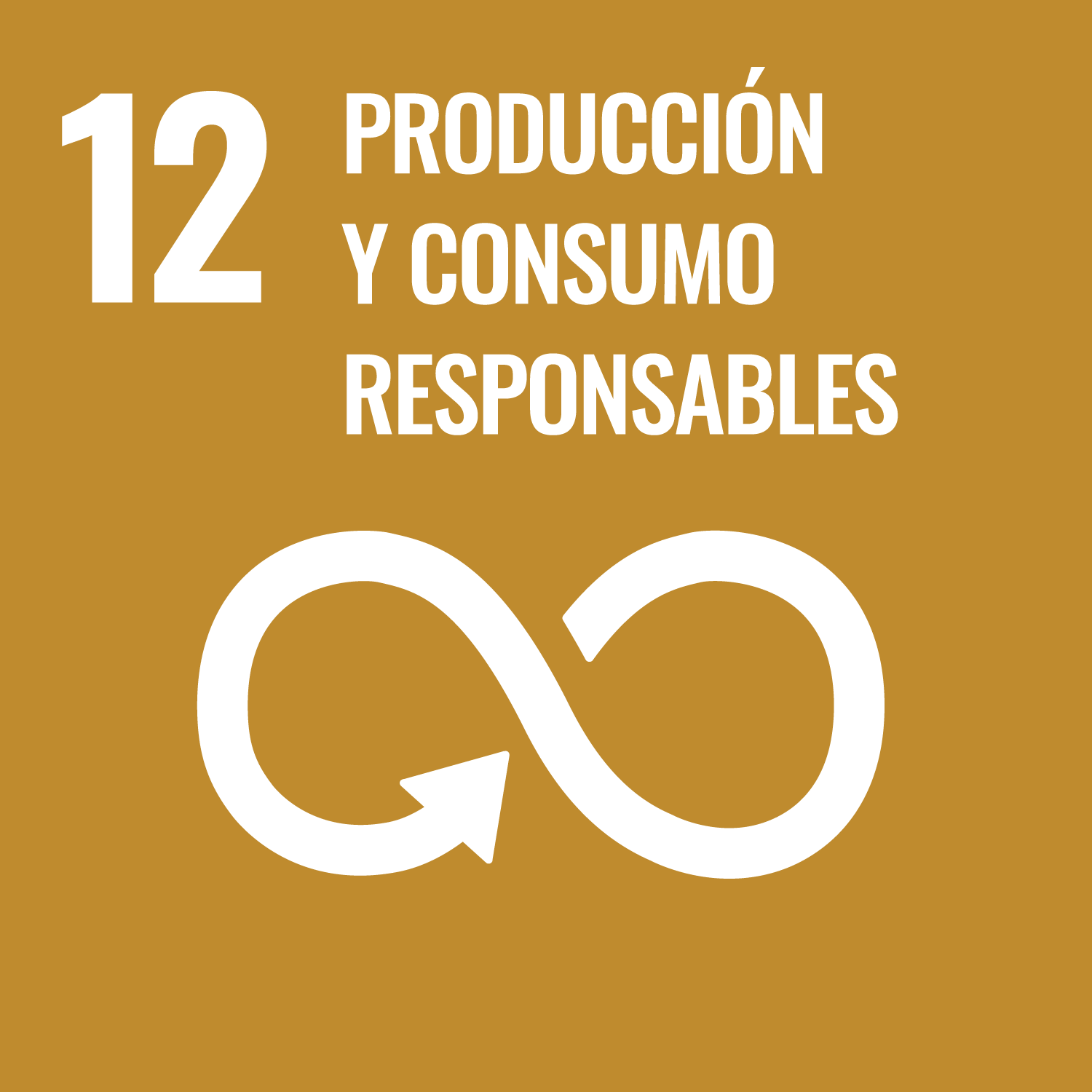 ODS Número 12. Producción y consumo responsables.