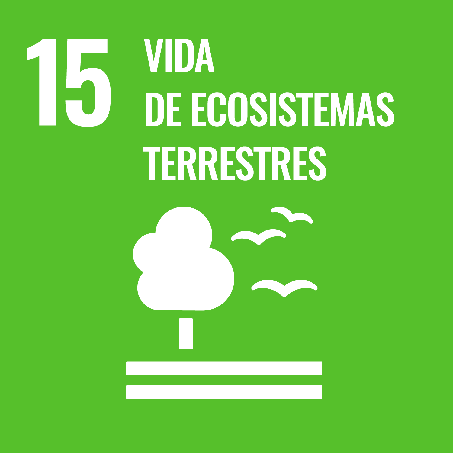 ODS número 15. Vida de ecosistemas terrestres.